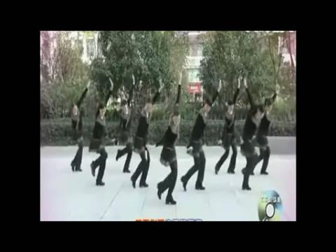 2014最新杭州西湖文化广场舞西海情歌